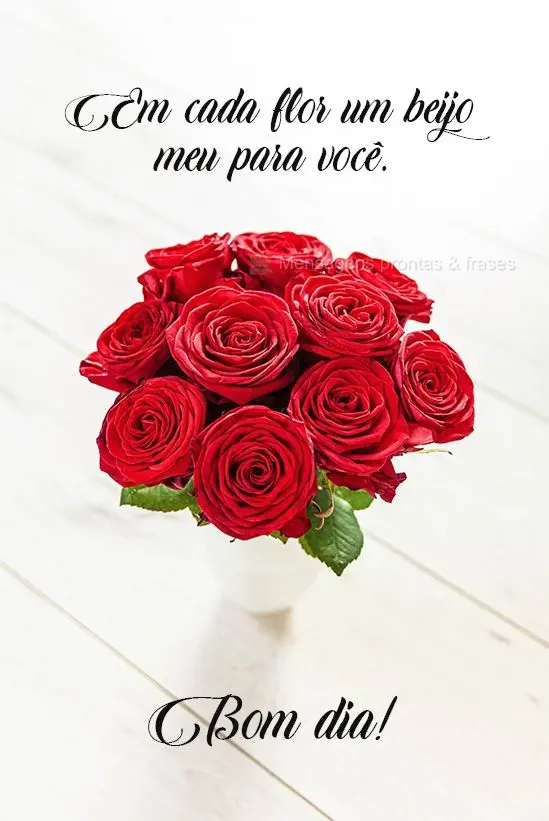Em cada flor um beijo meu para você. Bom dia!