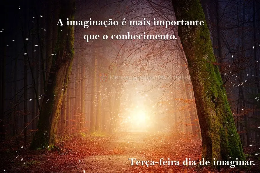 A imaginação é mais importante que o conhecimento. Terça-feira, dia de imaginar.