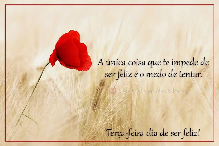 A única coisa que te impede de ser feliz é o medo de tentar. Terça-feira, dia de ser feliz!
