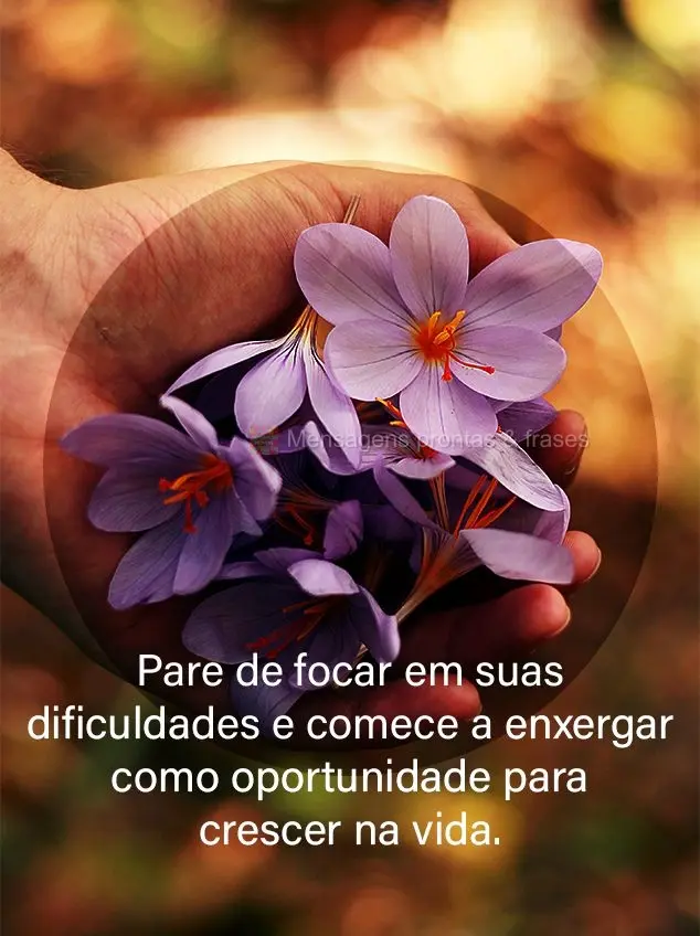Pare de focar em suas dificuldades e comece a enxergá-las como oportunidade para crescer na vida.