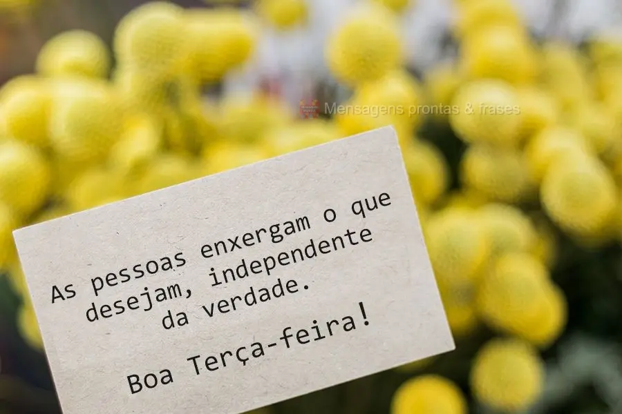 As pessoas enxergam o que desejam, independente da verdade.  Boa Terça-feira!