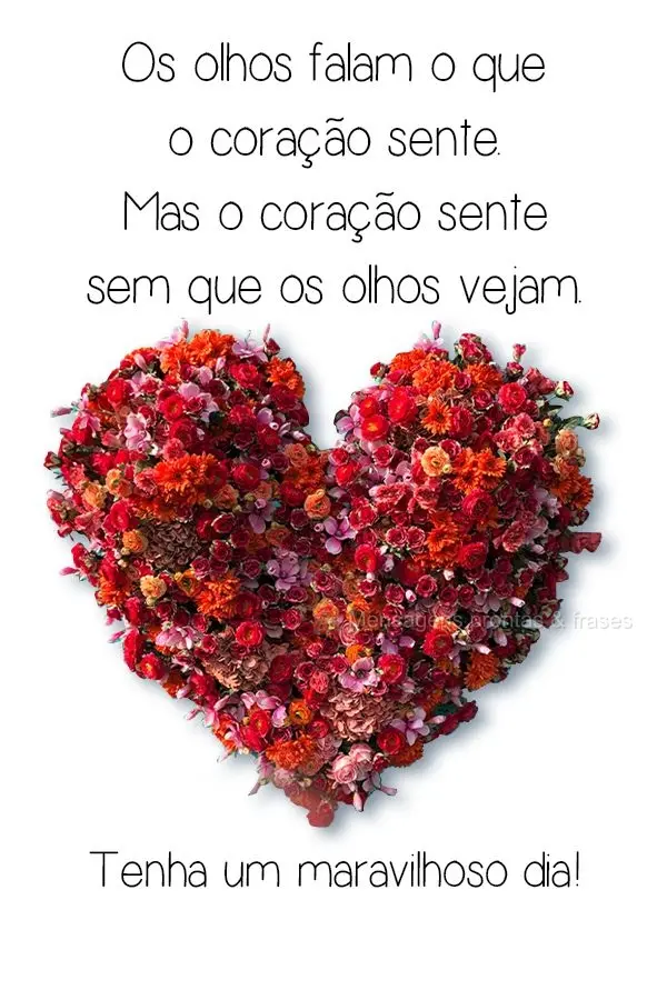 Os olhos falam o que o coração sente. Mas o coração sente sem que os olhos vejam. 
 Tenha um maravilhoso dia!