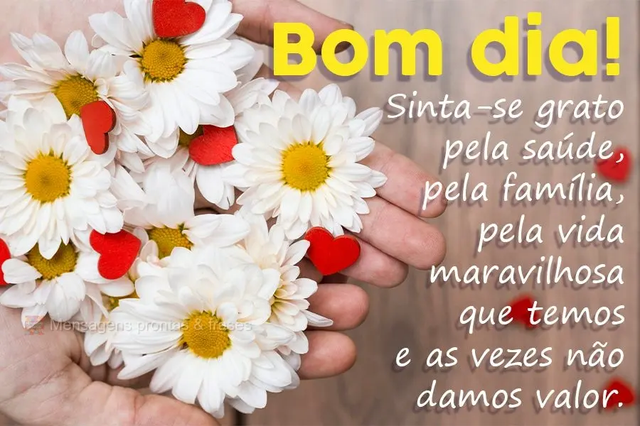 Sinta-se grato pela saúde, pela família, pela vida maravilhosa que temos e as vezes não damos valor.
 Bom dia!
