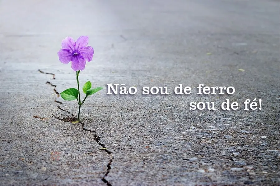 Não sou de ferro, sou de fé!
