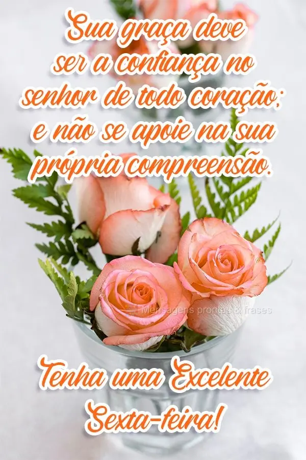 Sua graça deve ser a confiança no Senhor de todo coração; e não se apoie na sua própria compreensão.
  Tenha uma Excelente Sexta- feira!