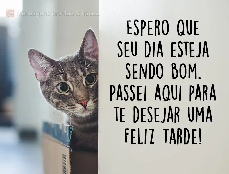 Espero que seu dia esteja sendo bom. Passei aqui para  te desejar uma Feliz Tarde!
