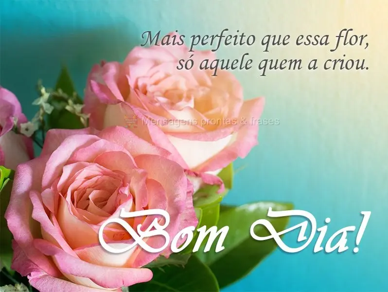 Mais perfeito que essa flor, só aquele que a criou. 
 Bom dia!