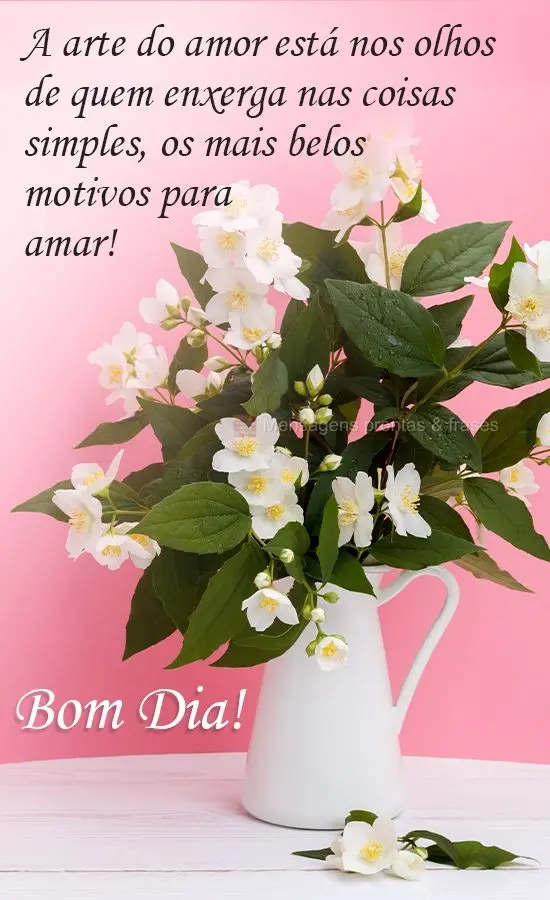 A arte do amor está nos olhos de quem enxerga nas coisas simples, os mais belos motivos para amar.  Bom Dia!