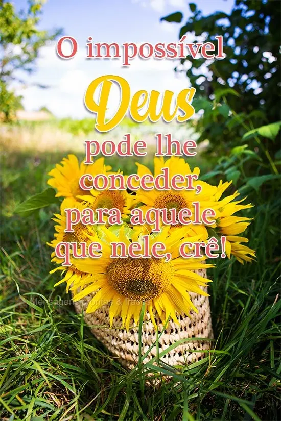 O impossível Deus pode conceder para aquele que nele crê!
