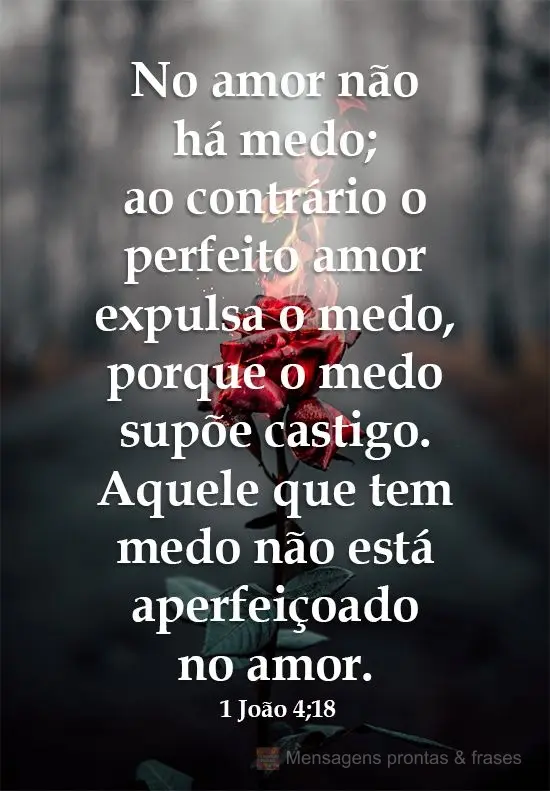 No amor não há medo; ao contrário o perfeito amor expulsa o medo, porque o medo supõe castigo. Aquele que tem medo não está aperfeiçoado no amor. ...