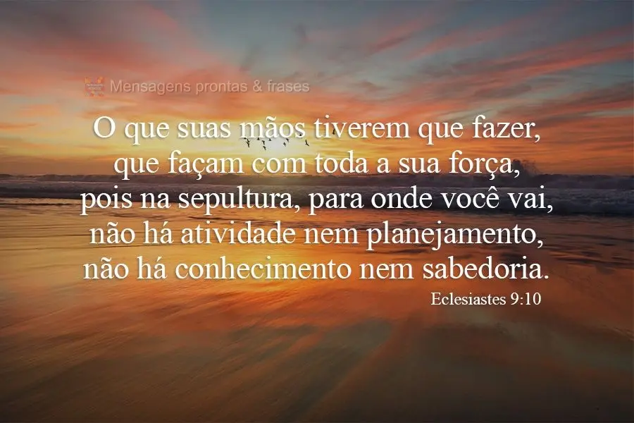 O que suas mãos tiverem que fazer, que façam com toda a sua força, pois na sepultura, para onde você vai, não há atividade nem planejamento, não h...