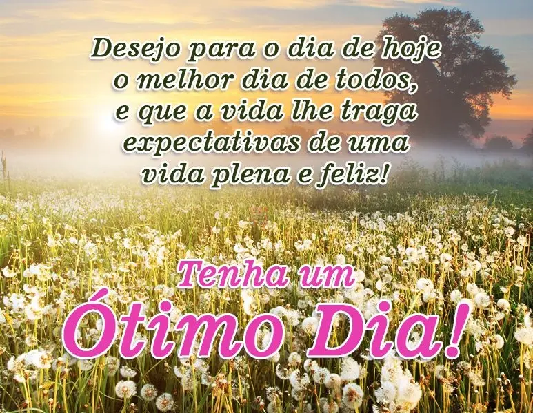 Desejo para o dia de hoje o melhor dia de todos, e que a vida lhe traga expectativas de uma vida plena e feliz! 
 Tenha um Ótimo Dia!