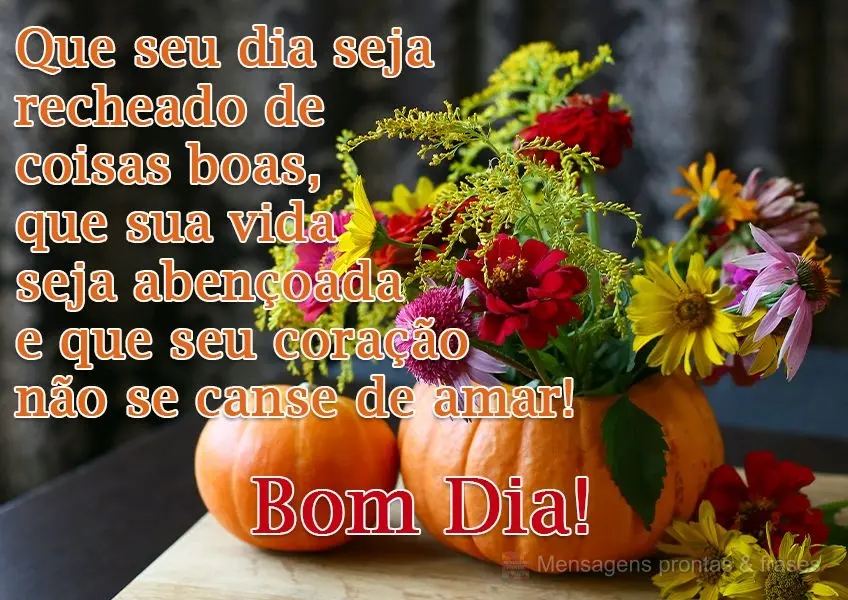 Que seu dia seja recheado de coisas boas, que sua vida seja abençoada e que seu coração não se canse de amar! 
 Bom Dia!