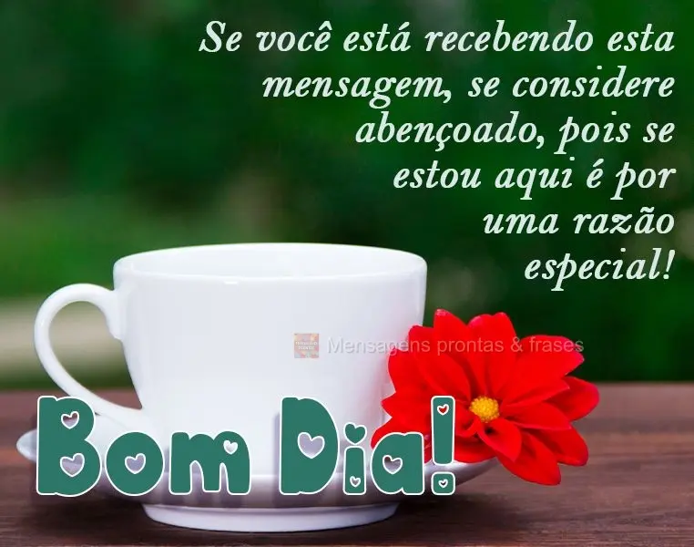 Se você está recebendo esta mensagem, se considere abençoado, pois se estou aqui é por uma razão especial!
  Bom Dia!