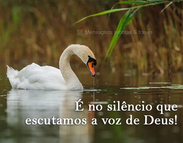 É no silêncio que escutamos a voz de Deus!
