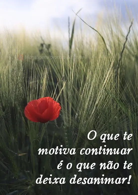 O que te motiva a continuar é o que não te deixa desanimar!
