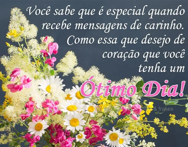 Você sabe que é especial quando recebe mensagens de carinho, como esta em que desejo de coração que você tenha um 
 Ótimo Dia!