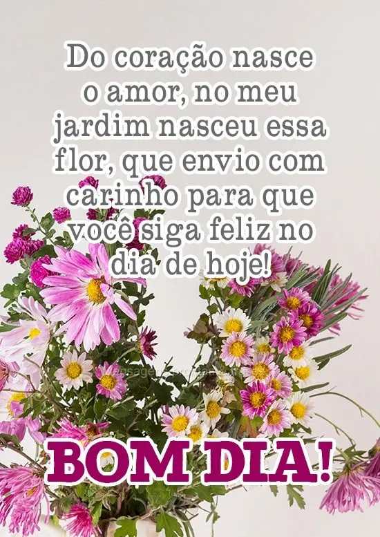 Do coração nasce o amor, do meu jardim nasceu essa flor, que envio com carinho para que você siga feliz no dia de hoje! 
 Bom Dia!