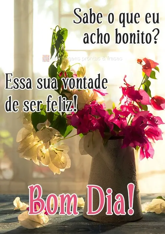 Sabe o que eu acho bonito? Essa sua vontade de ser feliz! 
 Bom Dia!