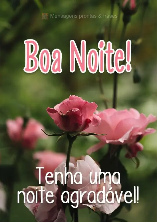 Tenha uma noite agradável!
 Boa Noite!