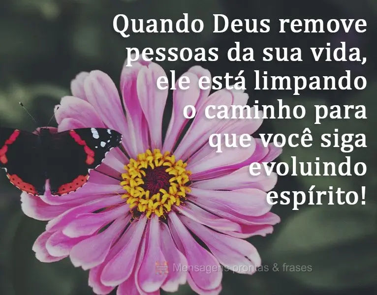 Quando Deus remove pessoas da sua vida, ele está limpando o caminho para que você siga evoluindo em espírito!
