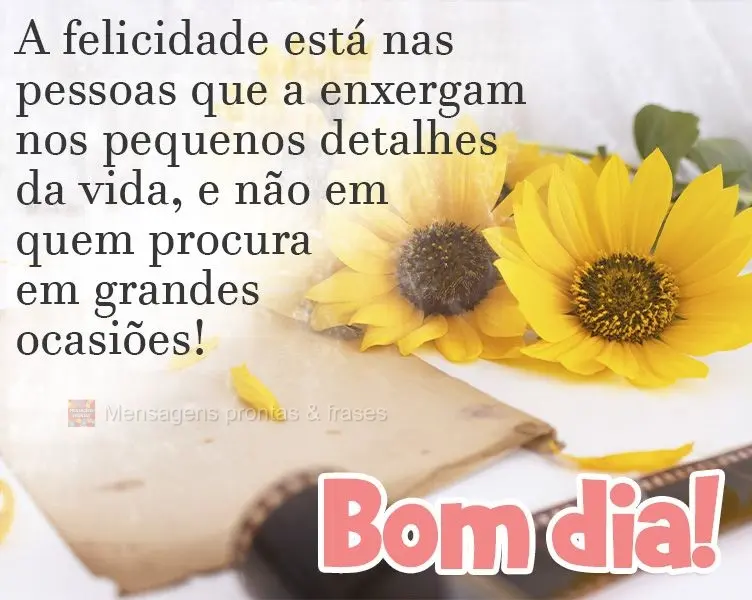 A felicidade está nas pessoas que a enxergam nos pequenos detalhes da vida, e não em quem procura em grandes ocasiões! 
 Bom dia!