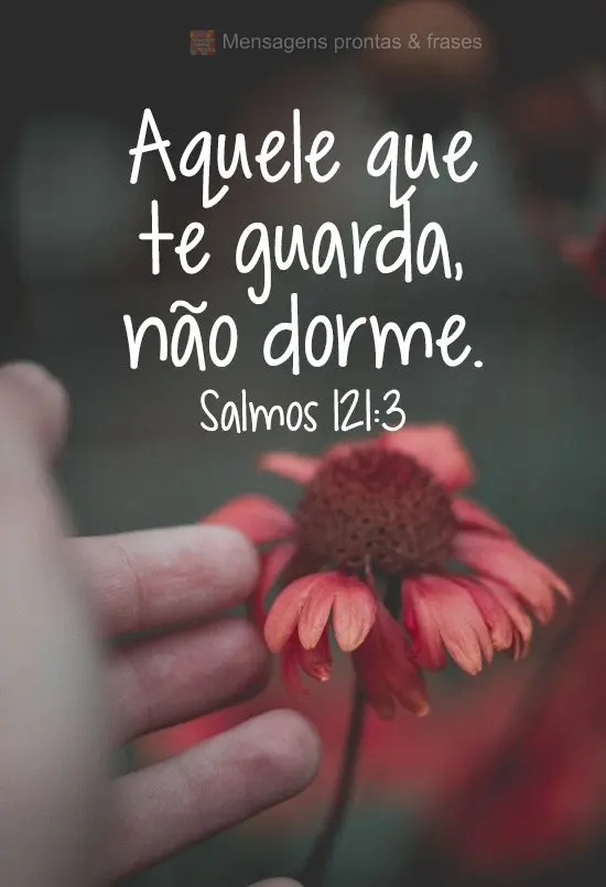 Aquele que te guarda, não dorme.  Salmos 121:3