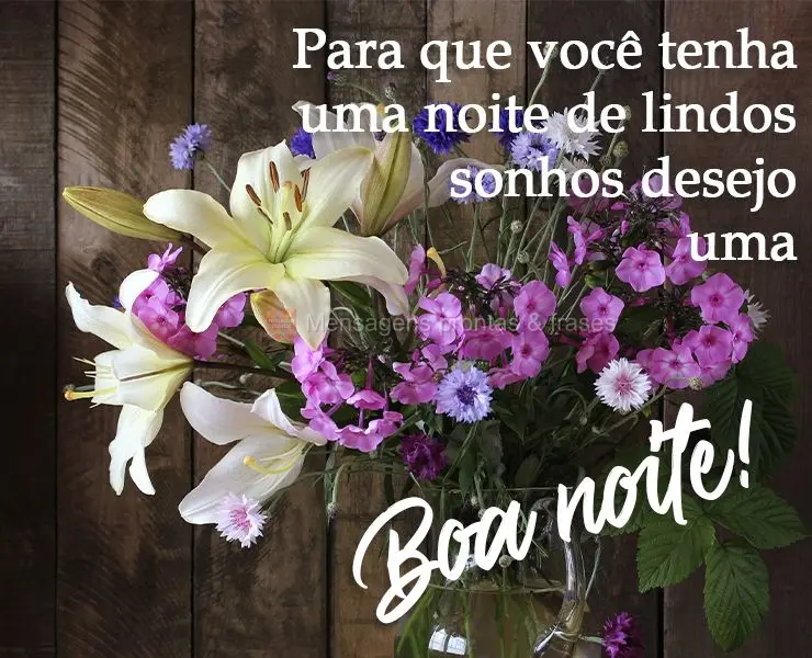 Para que você tenha uma noite de lindos sonhos desejo uma 
 Boa noite!