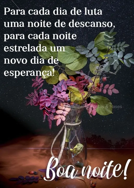 Para cada dia de luta uma noite de descanso; para cada noite estrelada um novo dia de esperança! 
 Boa noite!
