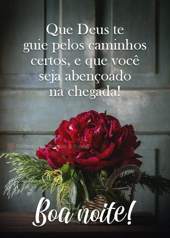 Que Deus te guie pelos caminhos certos e que você seja abençoado na chegada!  Boa noite!