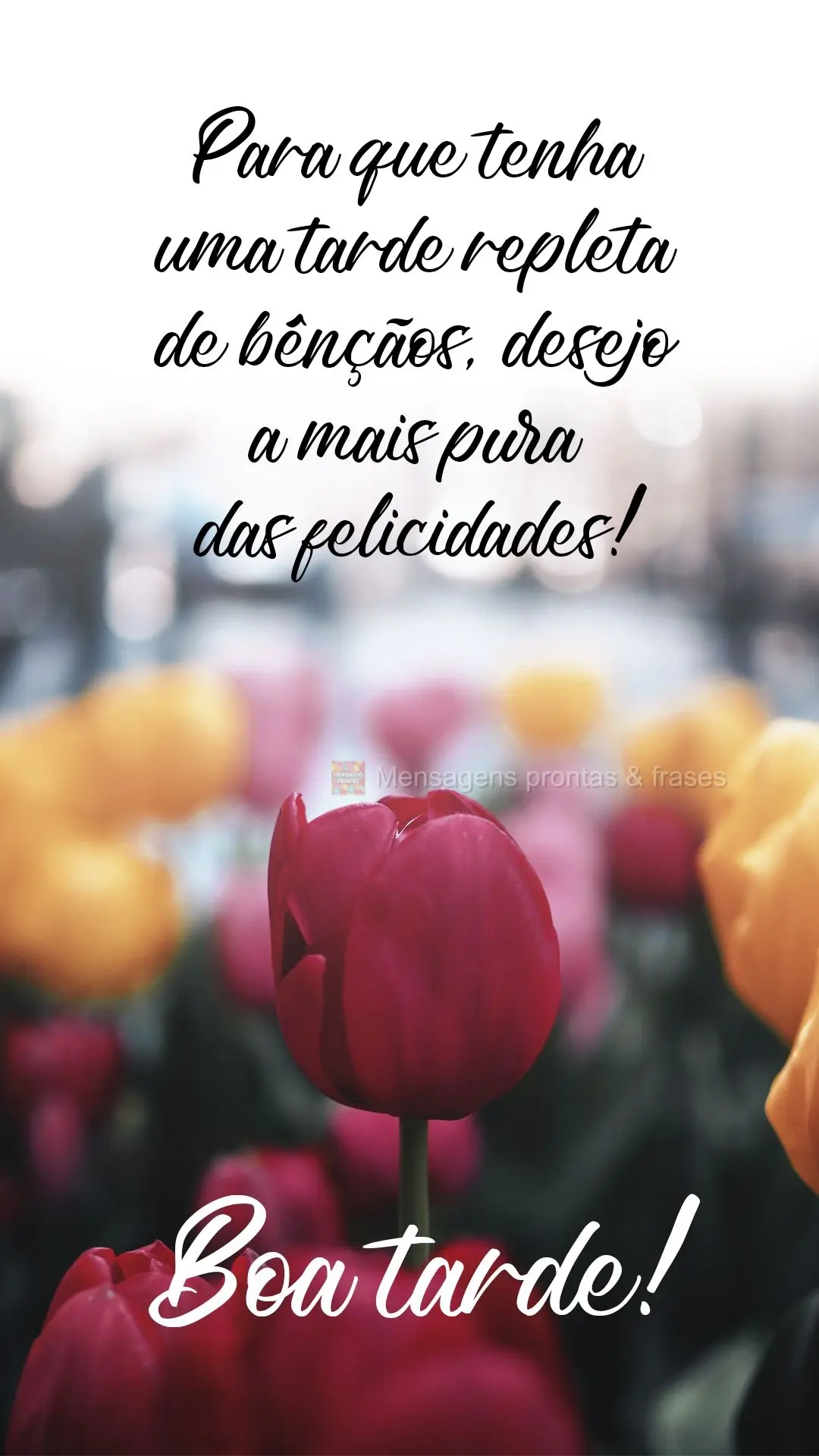 Para que tenha uma tarde repleta de bênçãos, desejo a mais pura das felicidades!  Boa tarde!