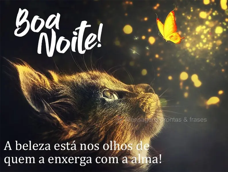 A beleza está nos olhos de quem a enxerga com a alma! Boa noite! 