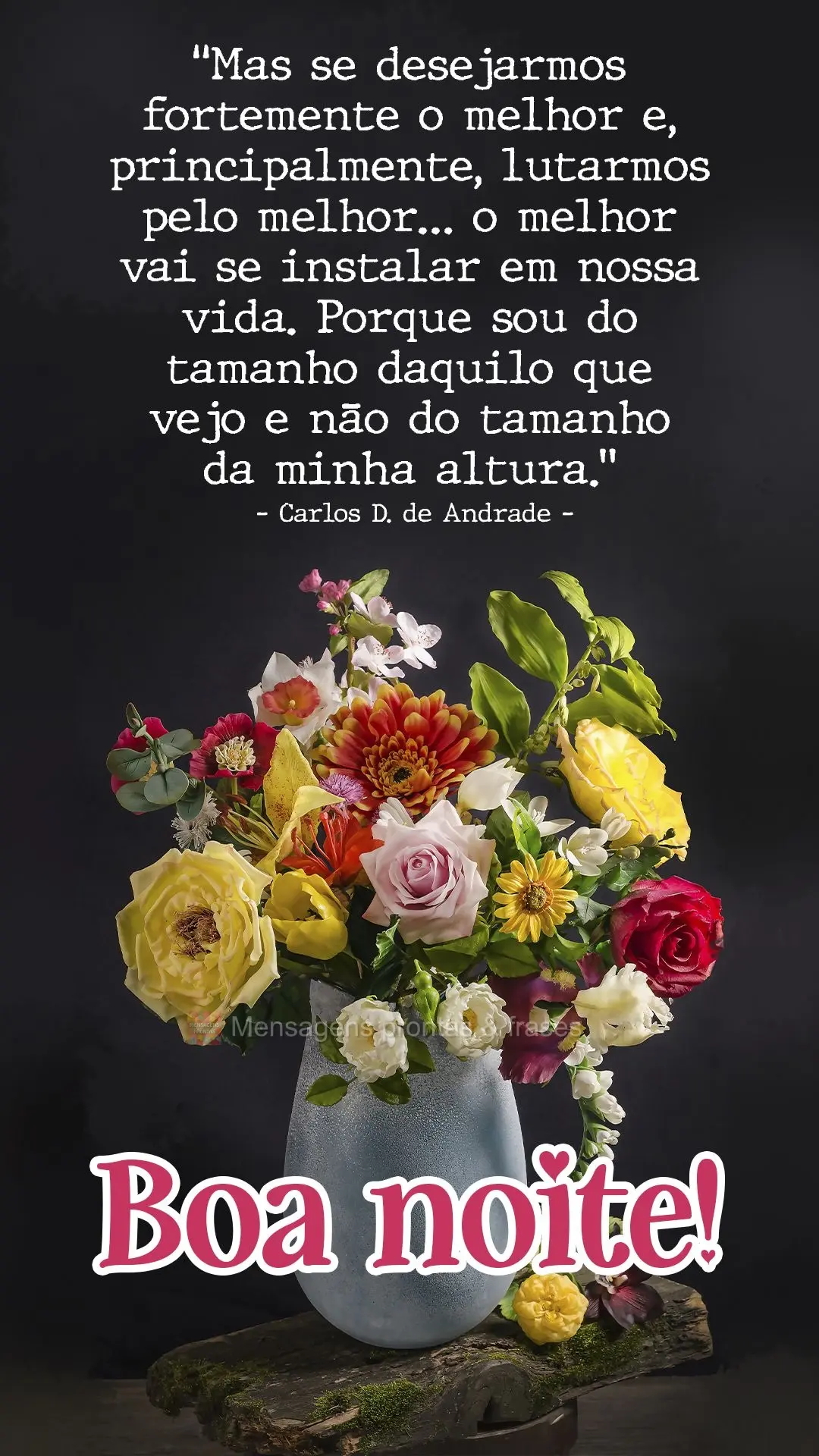 "Mas se desejarmos fortemente o melhor e, principalmente, lutarmos pelo melhor, o melhor vai se instalar em nossa vida. Porque sou do tamanho daquilo que...