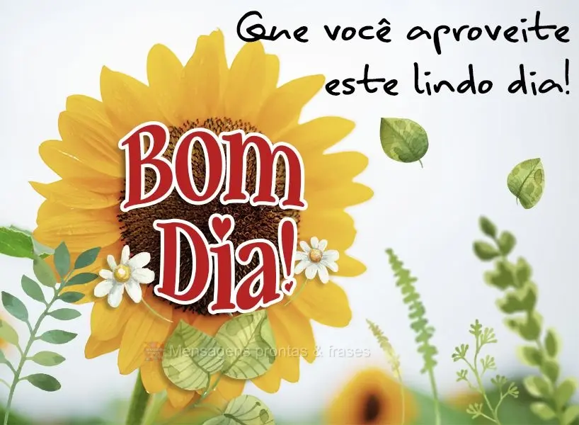 Que você aproveite este lindo dia! Bom dia! 
