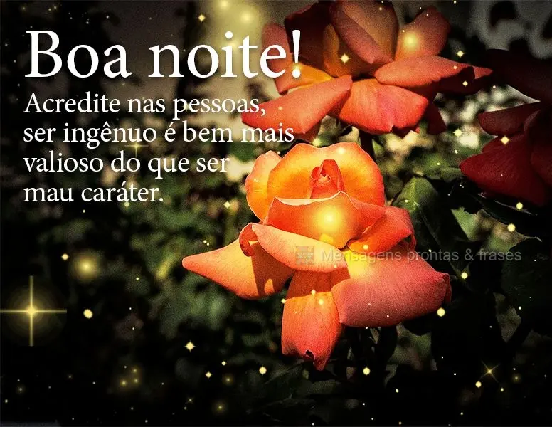 Acredite nas pessoas, ser ingênuo é bem mais valioso do que ser mau caráter. Boa noite!