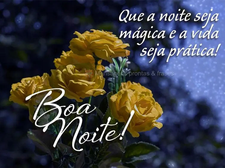 Que a noite seja mágica e a vida seja prática! Boa noite!