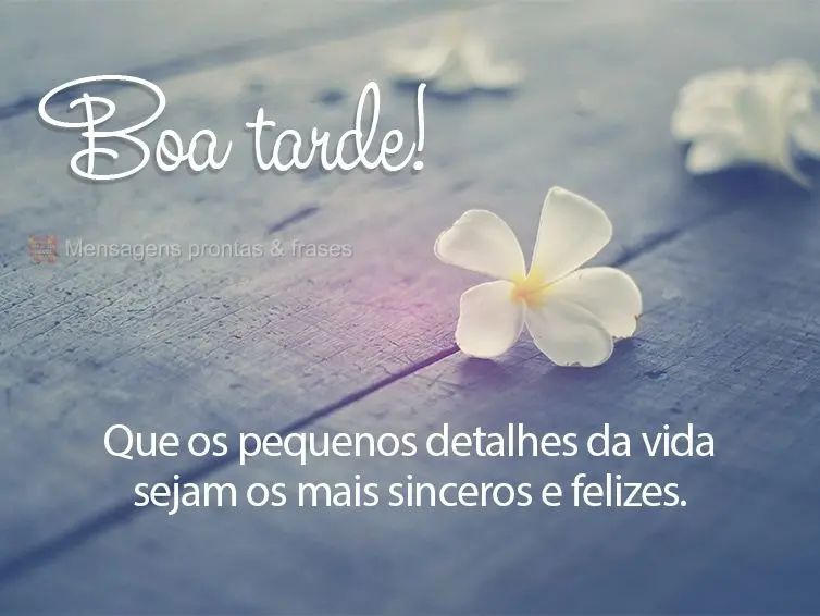 Que os pequenos detalhes da vida sejam os mais sinceros e felizes. Boa tarde!
