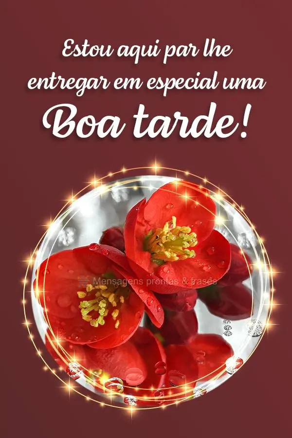 Estou aqui para lhe entregar em especial uma Boa tarde!