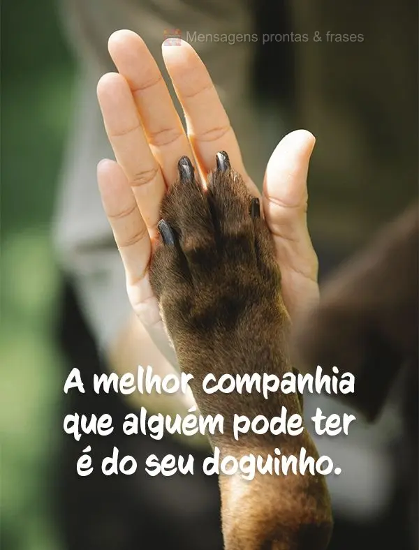 A melhor companhia que alguém pode ter é do seu doguinho.