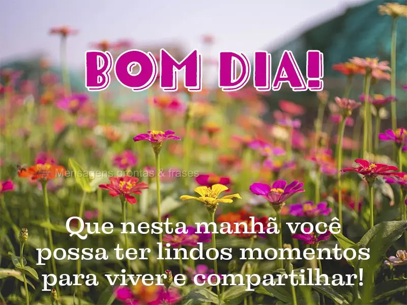 Que nesta manhã você possa ter lindos momentos para viver e compartilhar! Bom dia!