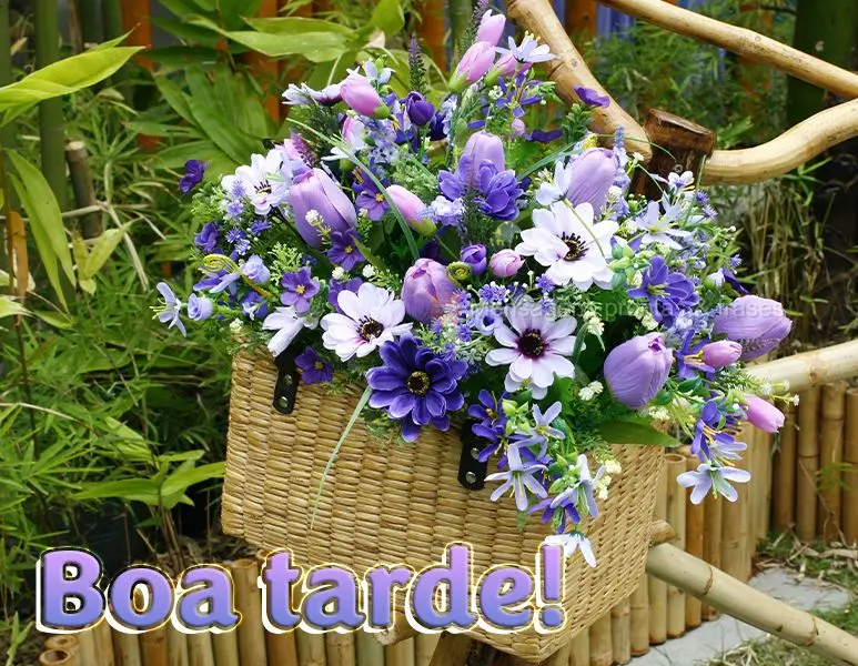 Boa tarde!