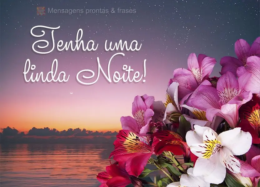 Tenha uma linda noite!