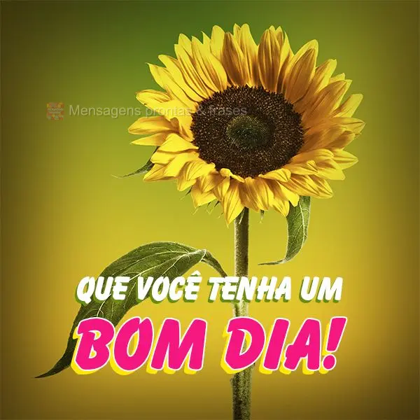 Que você tenha um bom dia!
