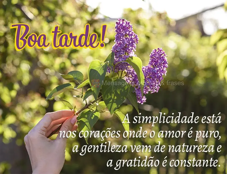A simplicidade está nos corações onde o amor é puro, a gentileza vem de natureza e a gratidão é constante. Boa tarde!