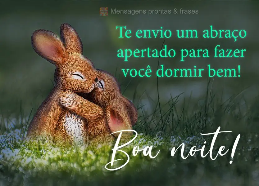 Te envio um abraço apertado para fazer você dormir bem! Boa noite!