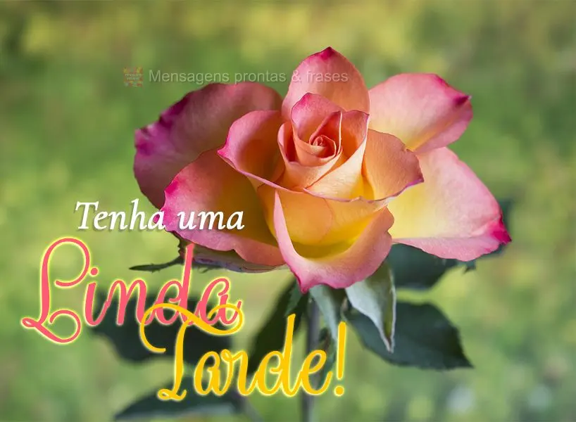 Tenha uma linda tarde!