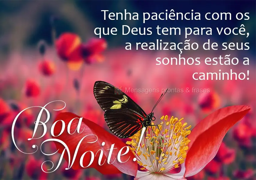 Tenha paciência com os que Deus tem para você, a realização de seus sonhos estão a caminho! Boa noite! 