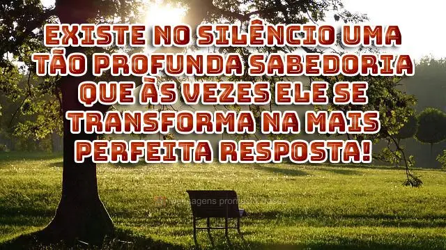 Existe no silêncio uma tão profunda sabedoria que às vezes ele se transforma na mais perfeita resposta!
