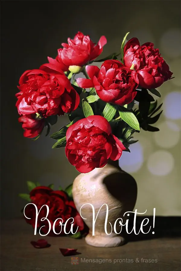 Boa noite!