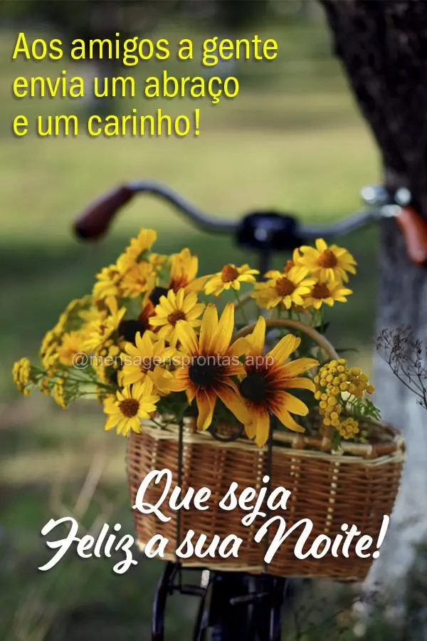Aos amigos a gente envia um abraço e um carinho! Que seja Feliz a sua Noite!